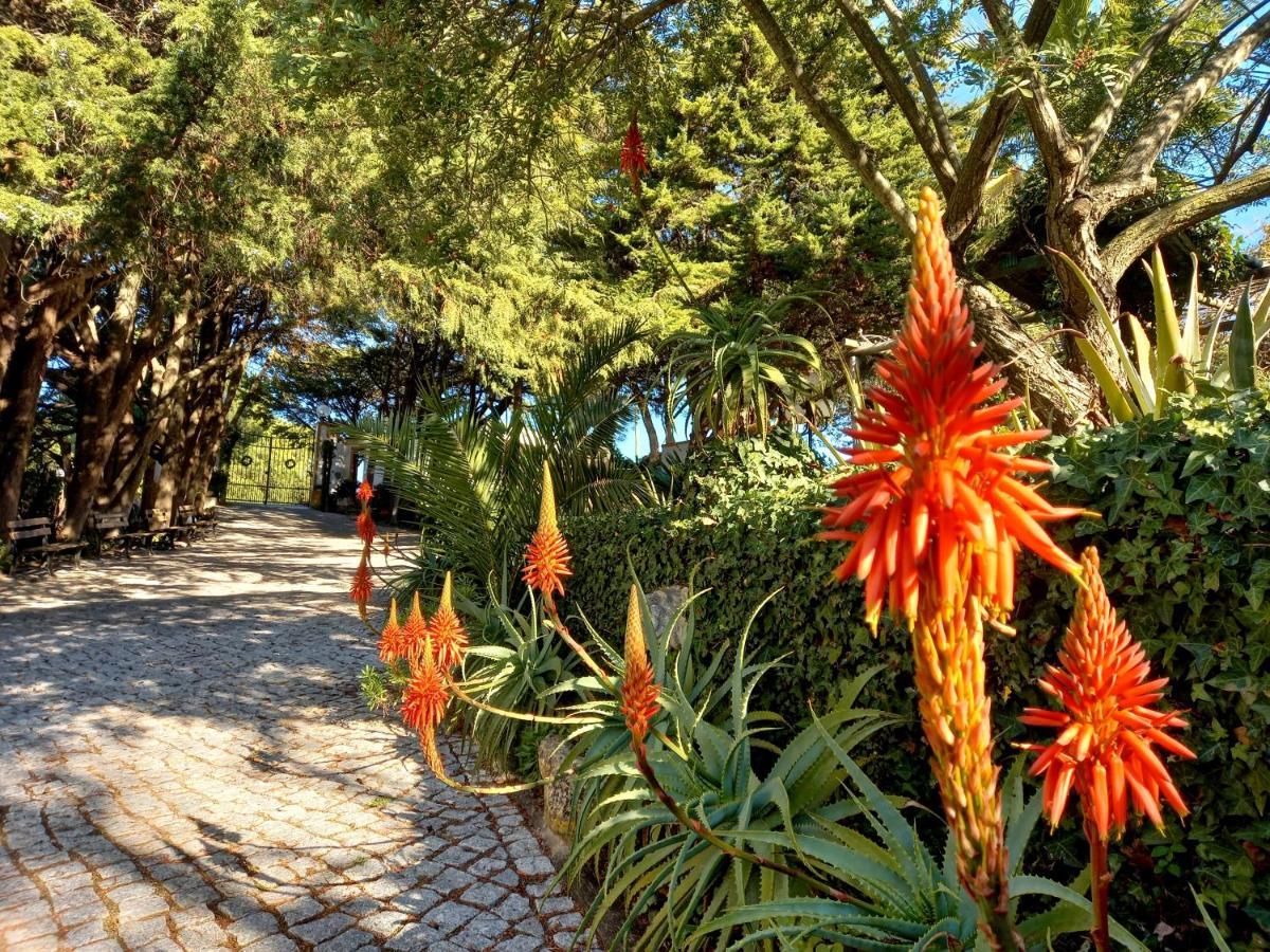 Quinta La Venus De Lisbonne Bed & Breakfast Calhandriz Exterior photo